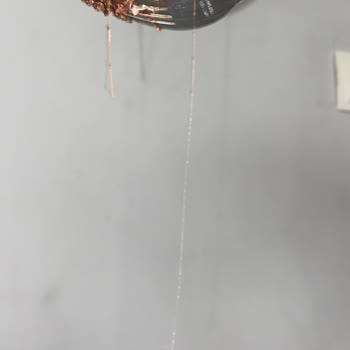 BİM Çikolatalı Pasta İçerisinde Yabancı Cisim Bulundu