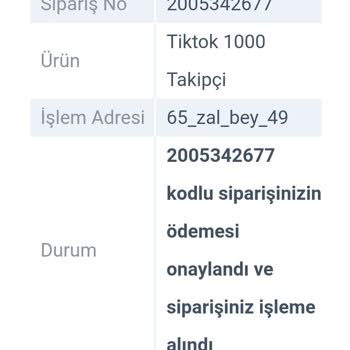 1000 TikTok Takipçi Satın Aldım