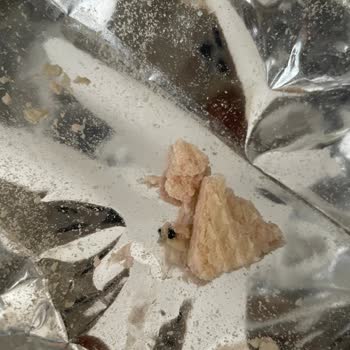 Eti Gıda Eti Hoşbeş'te Beklenmedik Siyah Madde Şoku!