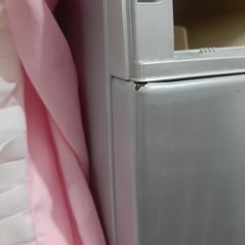 Bosch Çamaşır Makinesi Boya Atığı