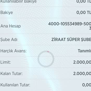 Ziraat Bankası Tanımlı Harçlık Avansı Bakiyesinin Görünmemesi Sorunu