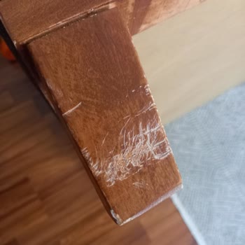 Sevilla Mobilya Kalitesiz Ürün Ve Kötü Servis Deneyimi