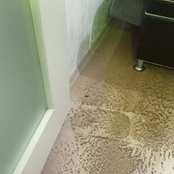 Axa Sigorta Sigorta Mağduriyeti Ve Yanlış Bilgilendirme Sorunu