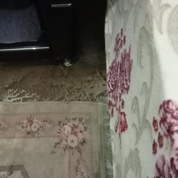 Axa Sigorta Sigorta Mağduriyeti Ve Yanlış Bilgilendirme Sorunu