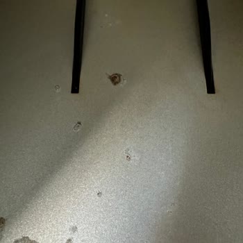 Electrolux E6AF1 6ST Airfryer Paslandı Ve Servis Yardım Etmiyor