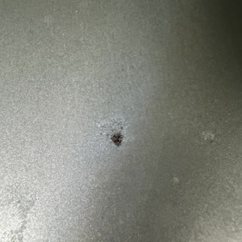 Electrolux E6AF1 6ST Airfryer Paslandı Ve Servis Yardım Etmiyor