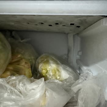 Beko Derin Dondurucu Karlanma Sorunu