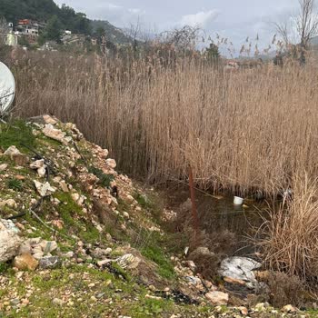 Luwi Life Concept Ayıplı Hizmet Karşılığı Para İadesi