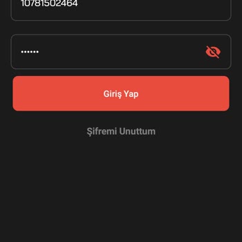 PayFix Hesap Erişim Sorunu Ve İşlem Yapamama Problemi