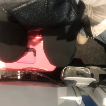 TCDD Evcil Hayvan Parası Şikayeti