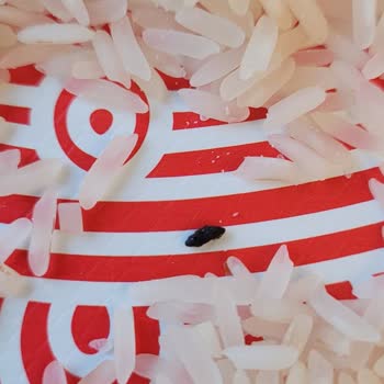 Hünkar Bakliyat Pilavda Yabancı Madde