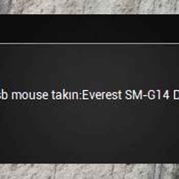 Everest Driver Mouse Algılamıyor