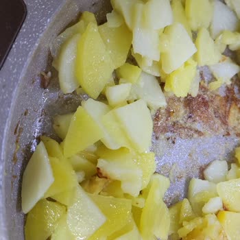 Thermoad Tavalarından Şikayetçiyim. Hepsimi Aynı Şansıma Mi