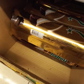 Şok Marketler'de Fare Tehlikesi Ve Hijyen Skandalı