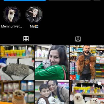 Şevval Ve Minikleri (Instagram :Sevvalinpatilerii) Kedi İlanı Sorunu