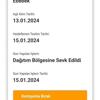 AGT Kurye (aynigunteslim.com) Kargom Nerede? Teslimat Ve Müşteri Hizmetleri Sorunları