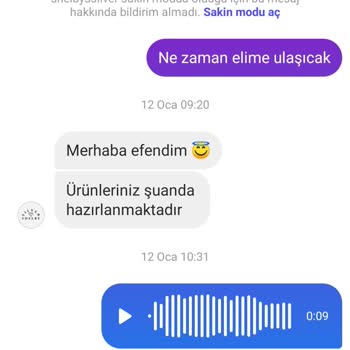 Shelby Silver Özel Gün Hayal Kırıklığı