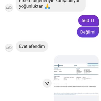 Shelby Silver Özel Gün Hayal Kırıklığı