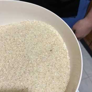Tarım Kredi Kooperatif Market Kapalı Paket Böcekli Ürün