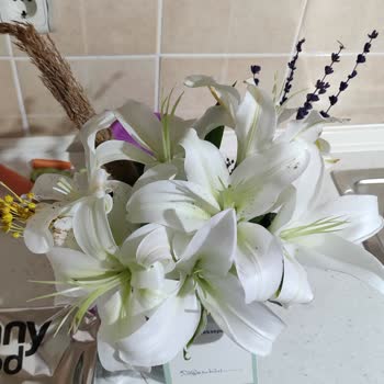 Çiçek Sepeti, 7 Benzerliği Bulun!