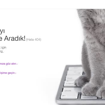 Fansly-Wix Görünümlü Fake Hesap Açma