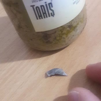 Tariş Zeytinyağı TARİŞ Zeytin Ezmesinden Bıçak Parçası Çıktı.