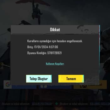 PUBG (Pubgmobile.com) Uzun Süreli Oyun Hesabı Banı Ve Güvenlik Sorunları