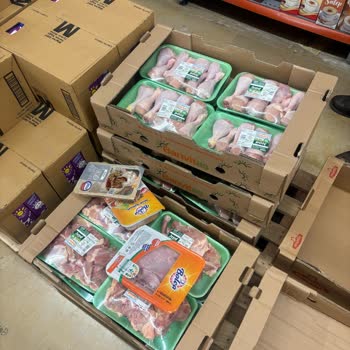 Çorlu Orion Migros Dışarıda Bekletilen Tavuklar