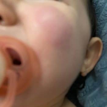 Ced-Go 14 Burda Sorumsuzluğu!