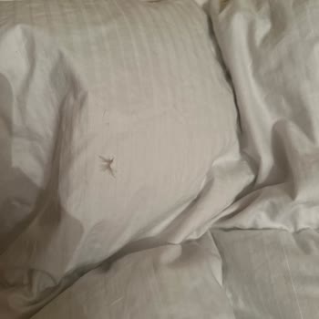 Chakra Çakra Mağazası Ankara