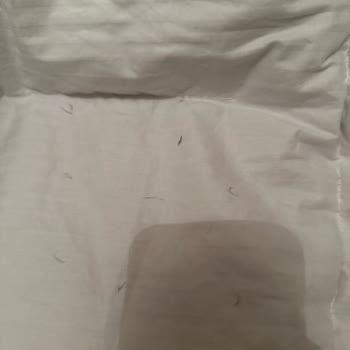 Chakra Çakra Mağazası Ankara