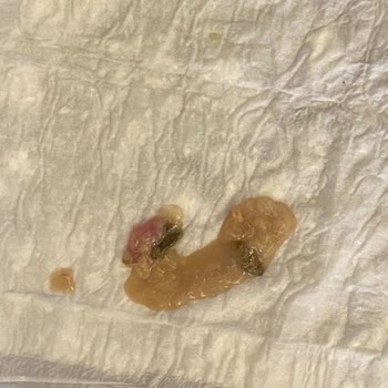 Reflexmama Köpeğimi Hasta Ettiniz