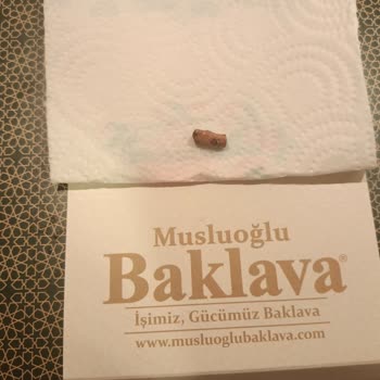 Musluoğlu Baklava M******** Fıstıklı Baklavadan Ağaç Parçası Çıkması