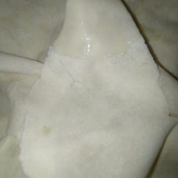 Nimet Gıda A101 Yufkada Kıl Cıktı