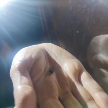 Kontur Kırık Pencere İle Seyahat (! )