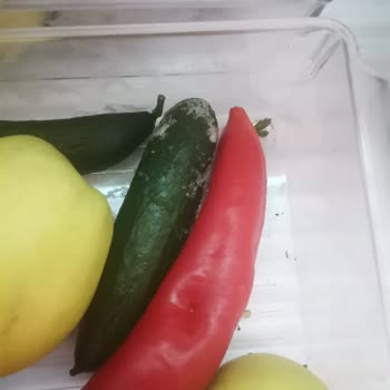 Vestel Buzdolabı Sebze Meyve Bölümü Buz Tutuyor