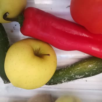 Vestel Buzdolabı Sebze Meyve Bölümü Buz Tutuyor