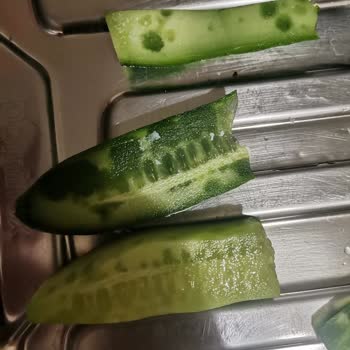 Vestel Buzdolabı Sebze Meyve Bölümü Buz Tutuyor