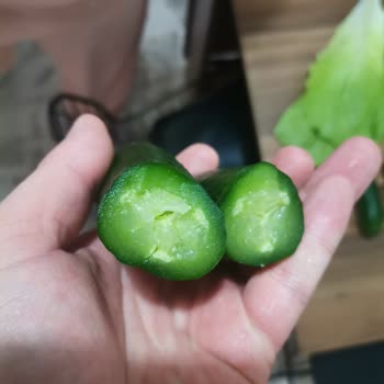 Vestel Buzdolabı Sebze Meyve Bölümü Buz Tutuyor