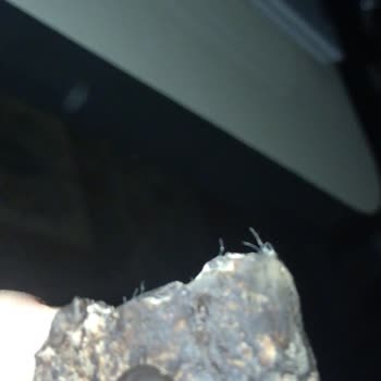 BİM Daphne Damla Çikolatadan Kıl Çıktı