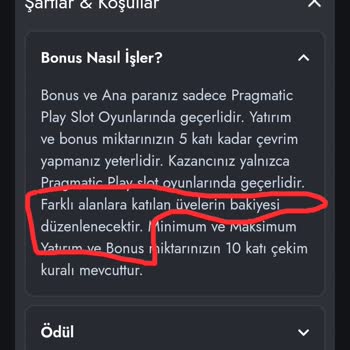 Betorspin Haksız Yere Paramı Sildi