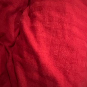 Yataş Superwashed Yorganlar Çocuklarımın Sağlığıyla Oynuyor!