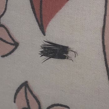 Eyüp Protez Tırnak Kirpik Uygulama Hizmetlerinde Yaşanan Sorunlar