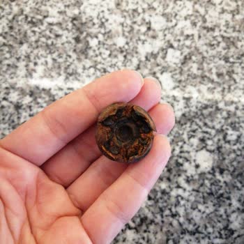 Homend Mixfresh 7010H Blender Paslanma