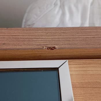 Yön AVM Denilen Mağaza Hatalı Ürün Gönderiyor