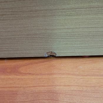 Yön AVM Denilen Mağaza Hatalı Ürün Gönderiyor