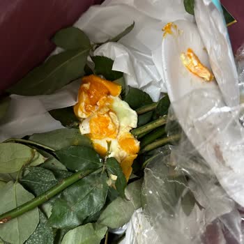 A101 Ercan Yumurtaların Bozukluğu