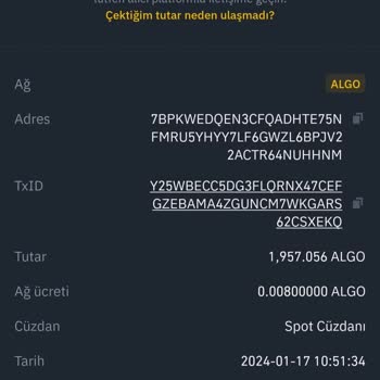 Coinlist.co Algo Transfer Gecikme Sorunu