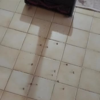 Arçelik Imperium GO Plas 9162 Hüsranı