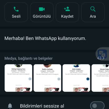 WhatsApp +234 İle Başlayan WhatsApp Aramaları